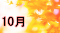 狙い目はここっ!明日、利益を得る為に