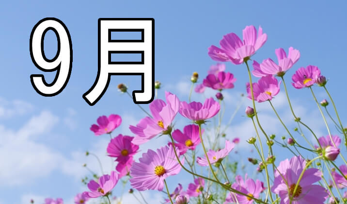 狙い目はここっ!明日、利益を得る為に