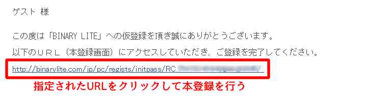 バイナリーライトの口座開設画面3