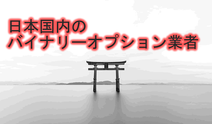 国内業者のイメージ