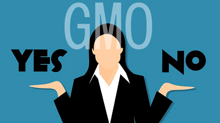 GMOといえばバイナリー？