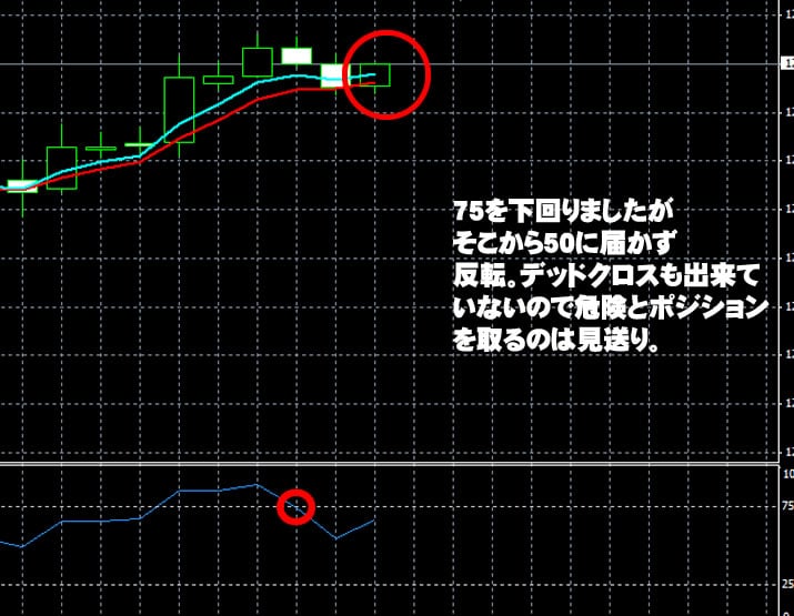 ハイローオーストラリア