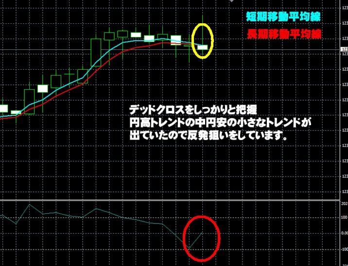 ハイローオーストラリア