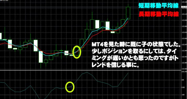 ハイローオーストラリア実戦1