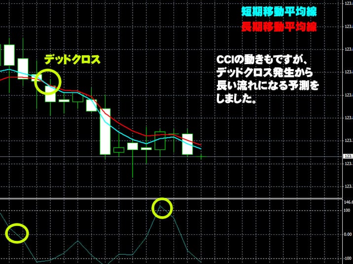 ハイローオーストラリア実戦1