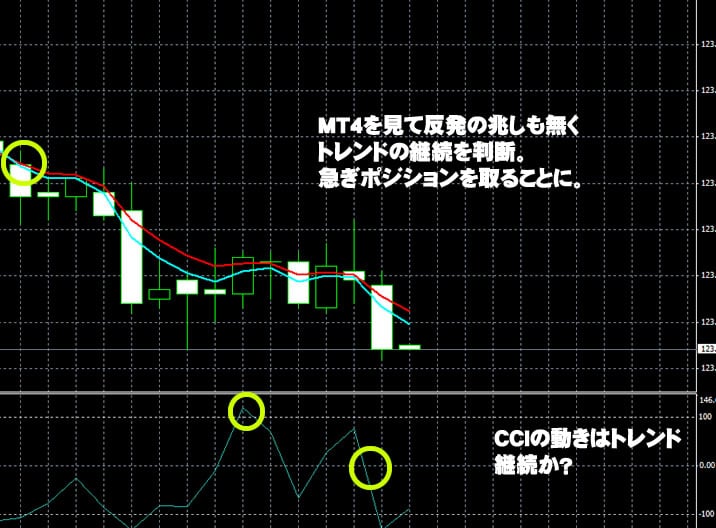 ハイローオーストラリア実戦3