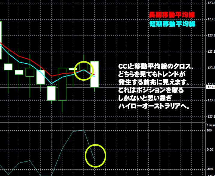 ハイローオーストラリア実戦 ハイローオーストラリア