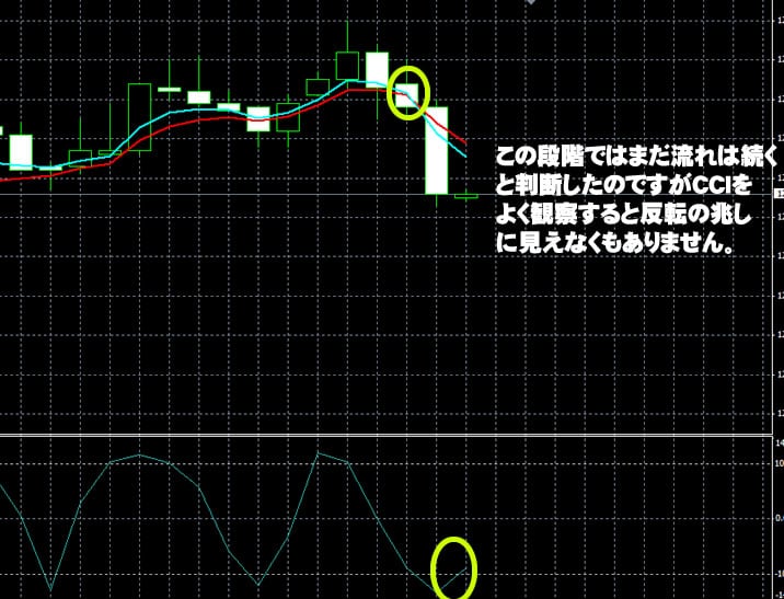 ハイローオーストラリア実戦　4