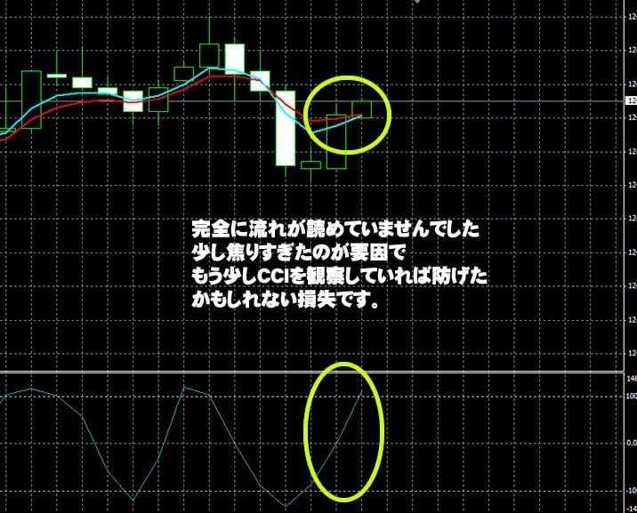 ハイローオーストラリア実戦　6