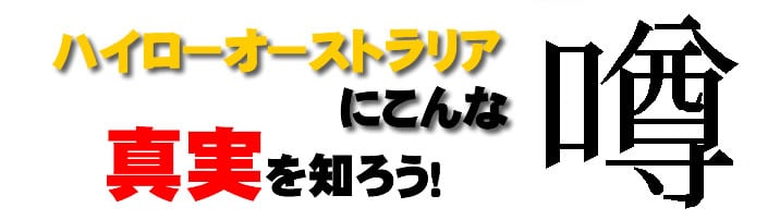 ハイローオーストラリア 噂 ハイローオーストラリア真実を知ろうTOP