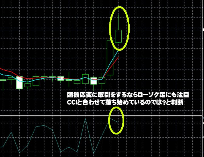 ハイローオーストラリア実戦取引 ハイローオーストラリア実戦取引