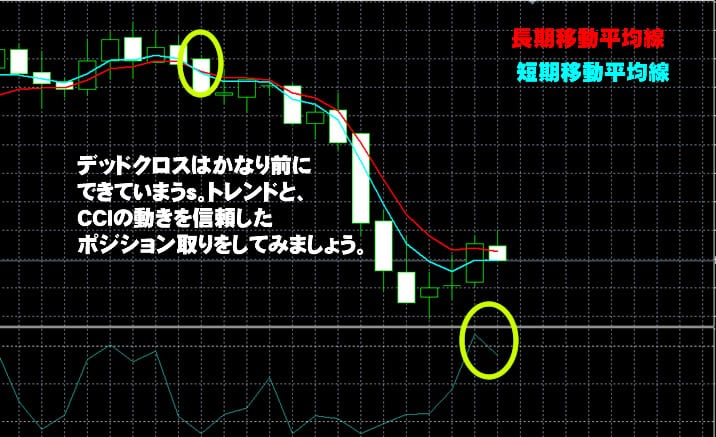 ハイローオーストラリア実戦取引