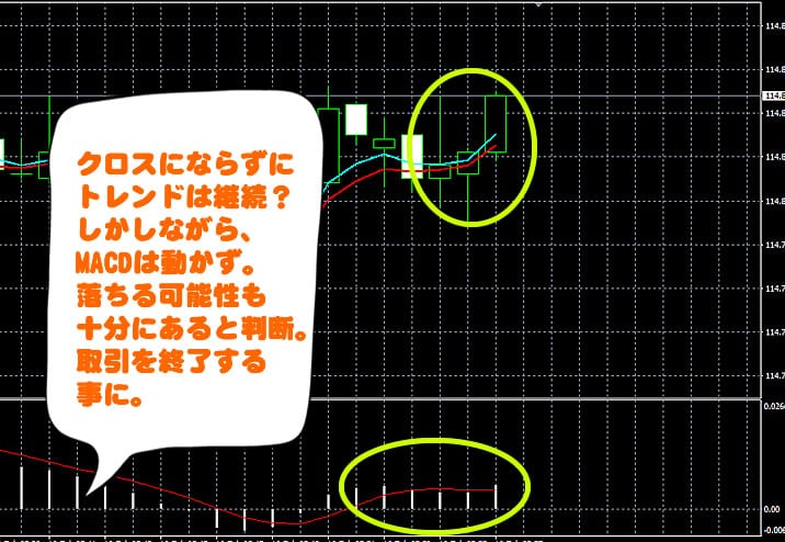 ハイローオーストラリア　実戦取引