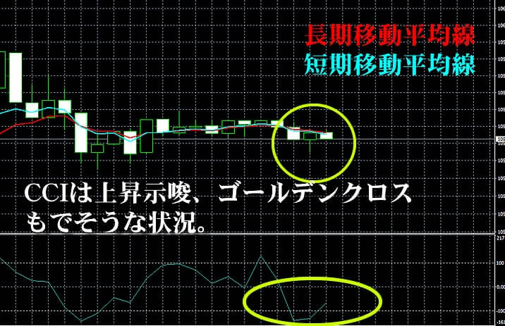 ハイローオーストラリア ハイローオーストラリア
