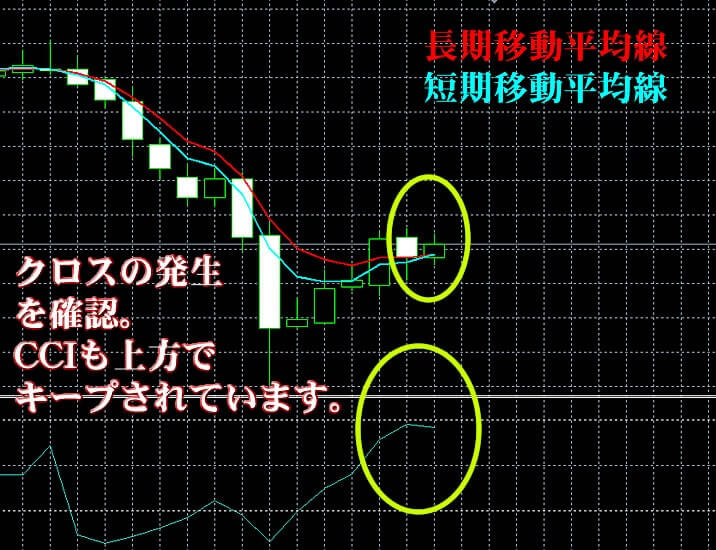 ハイローオーストラリアの実戦画像1 ハイローオーストラリアの実戦画像1