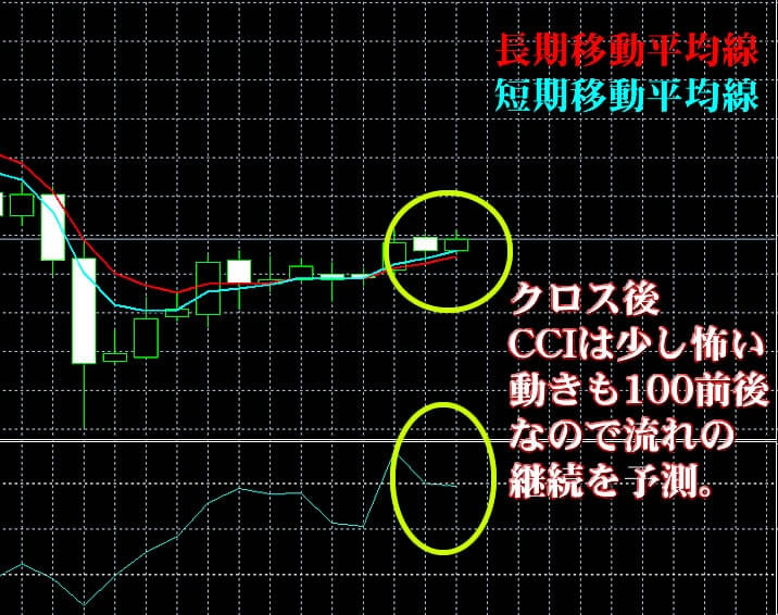 ハイローオーストラリアの実戦画像3 ハイローオーストラリアの実戦画像3