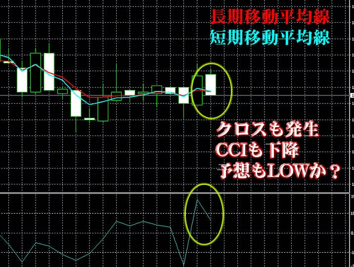 ハイローオーストラリア実戦記事1