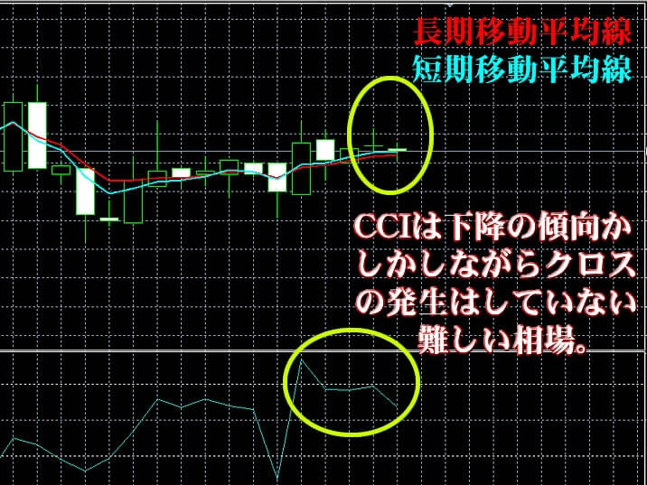 ハイローオーストラリア実戦記事3