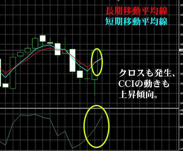 ハイローオーストラリア実戦取引2