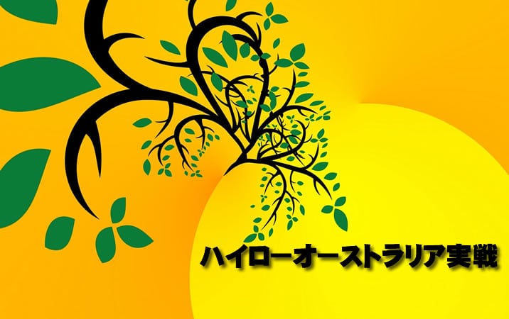 ハイローオーストラリア実戦イメージ画像