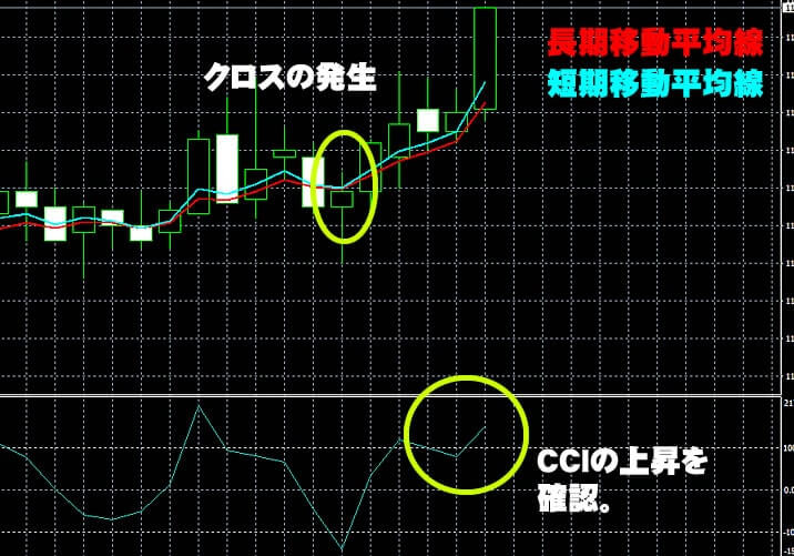 ハイローオーストラリアの実戦取引１