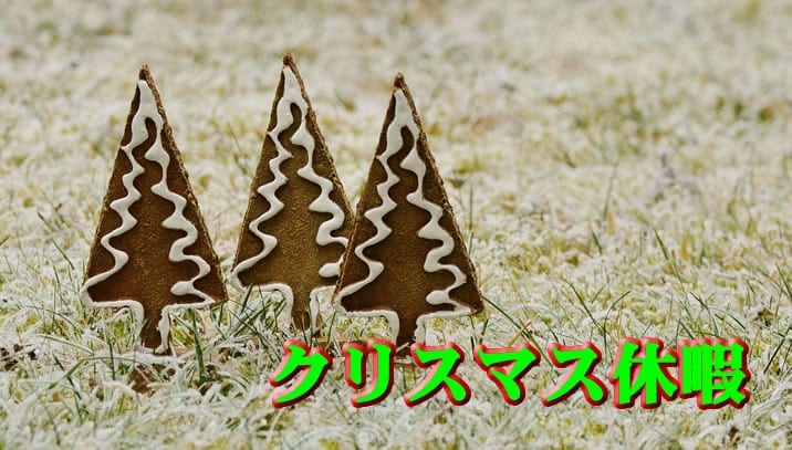 ハイローオーストラリアクリスマス休暇の重要性
