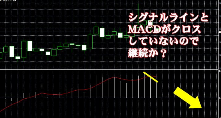 ハイローオーストラリアでMACDを使ってみる3