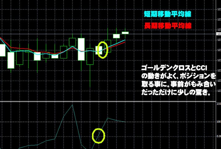 ハイローオーストラリア実戦取引1