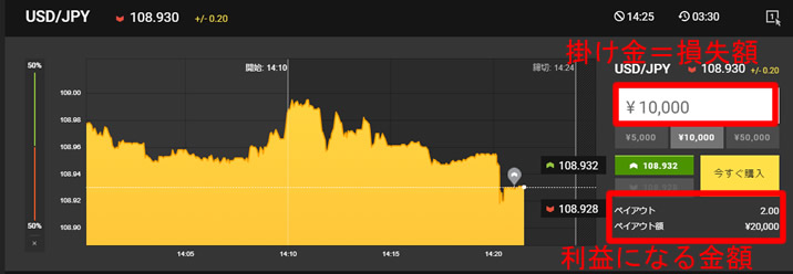 バイナリーオプションの利益額と損失額の把握