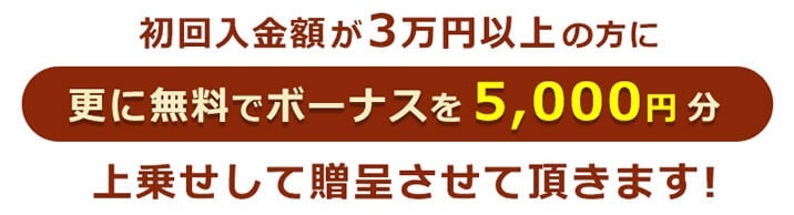 ソニックオプション　キャンペーン