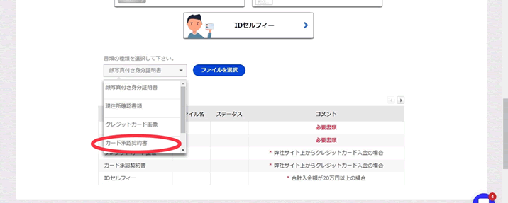 ザオプション　　書類のまとめ