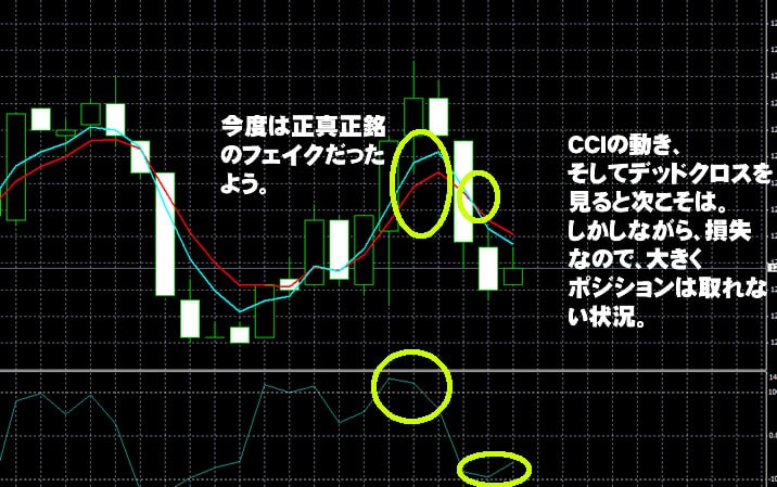 トレード200　実戦取引！