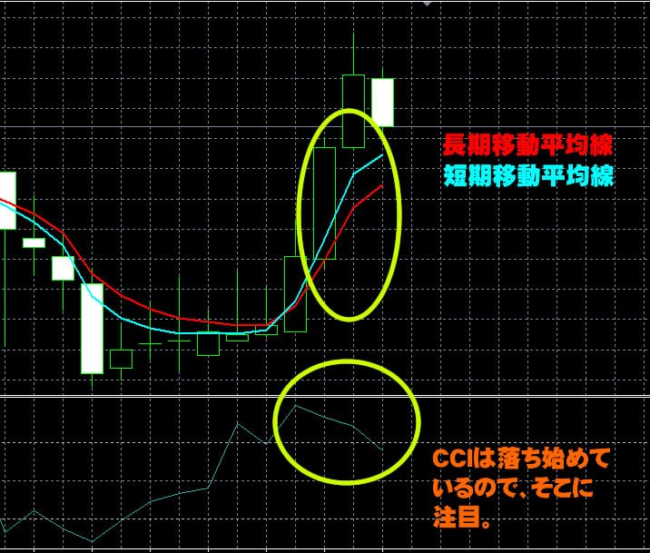 trade200実践取引