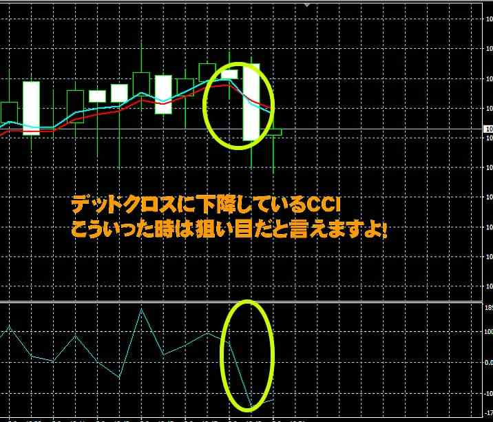 trade200実践取引