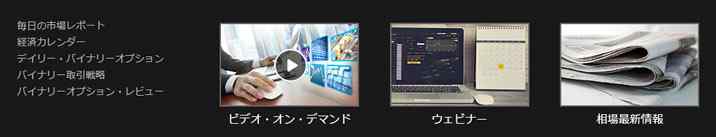 Yバイナリー特徴 サポート Yバイナリー 特徴
