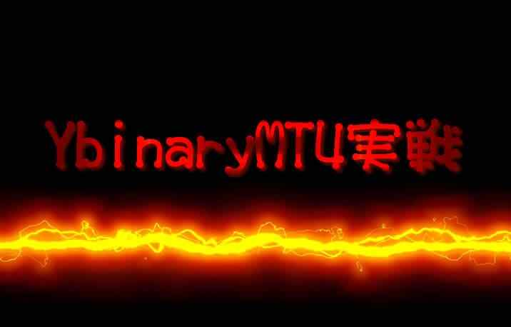 Ybinaryの実戦取引イメージ画像