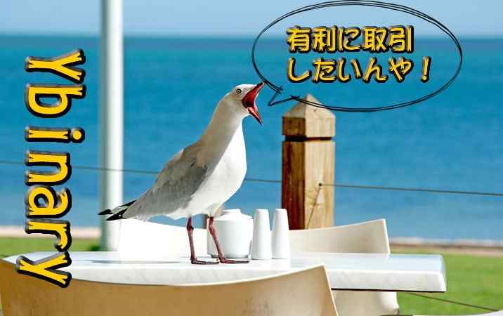 Yバイナリー Ybinary